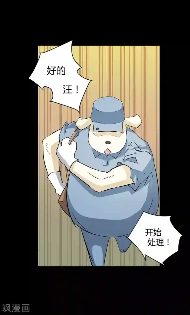 恶魔成人礼第14话