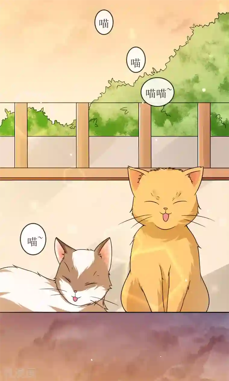 人气同桌是只猫第1话 男神同桌是座冰山