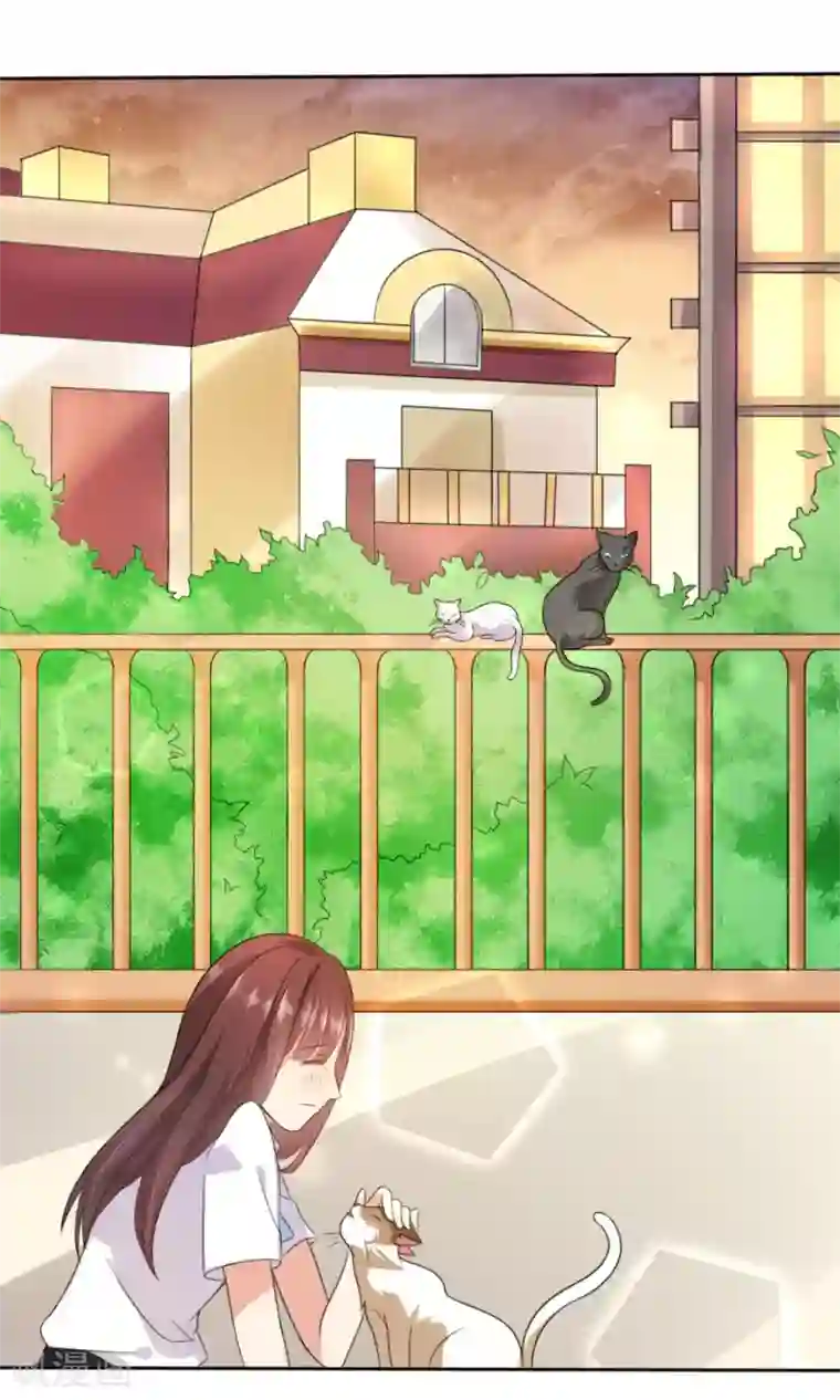 人气同桌是只猫第1话 男神同桌是座冰山