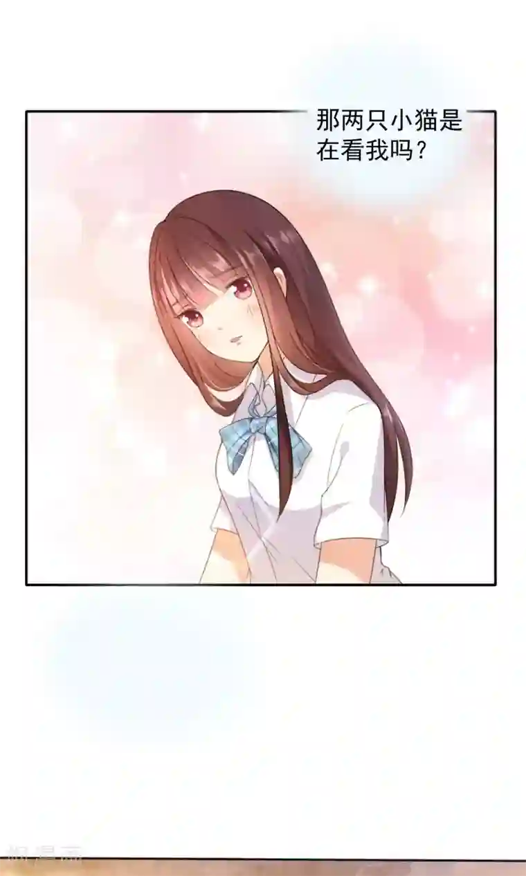 人气同桌是只猫第1话 男神同桌是座冰山