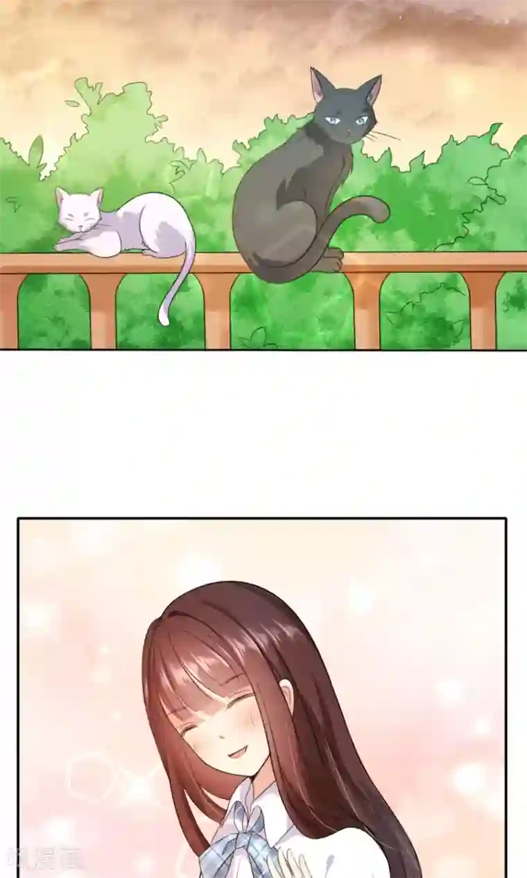 人气同桌是只猫第1话 男神同桌是座冰山