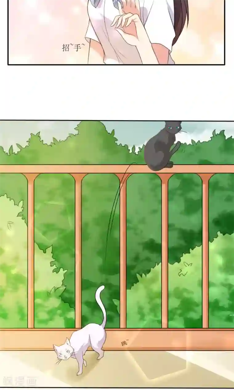 人气同桌是只猫第1话 男神同桌是座冰山