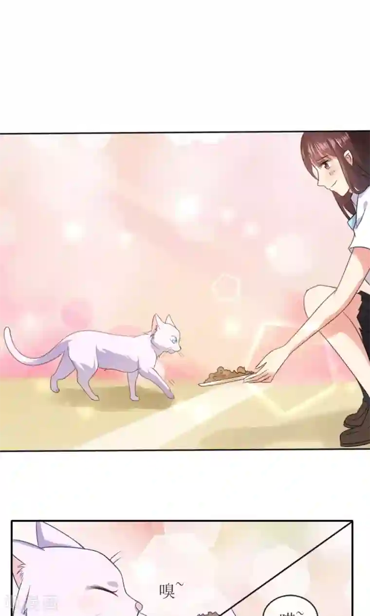 人气同桌是只猫第1话 男神同桌是座冰山