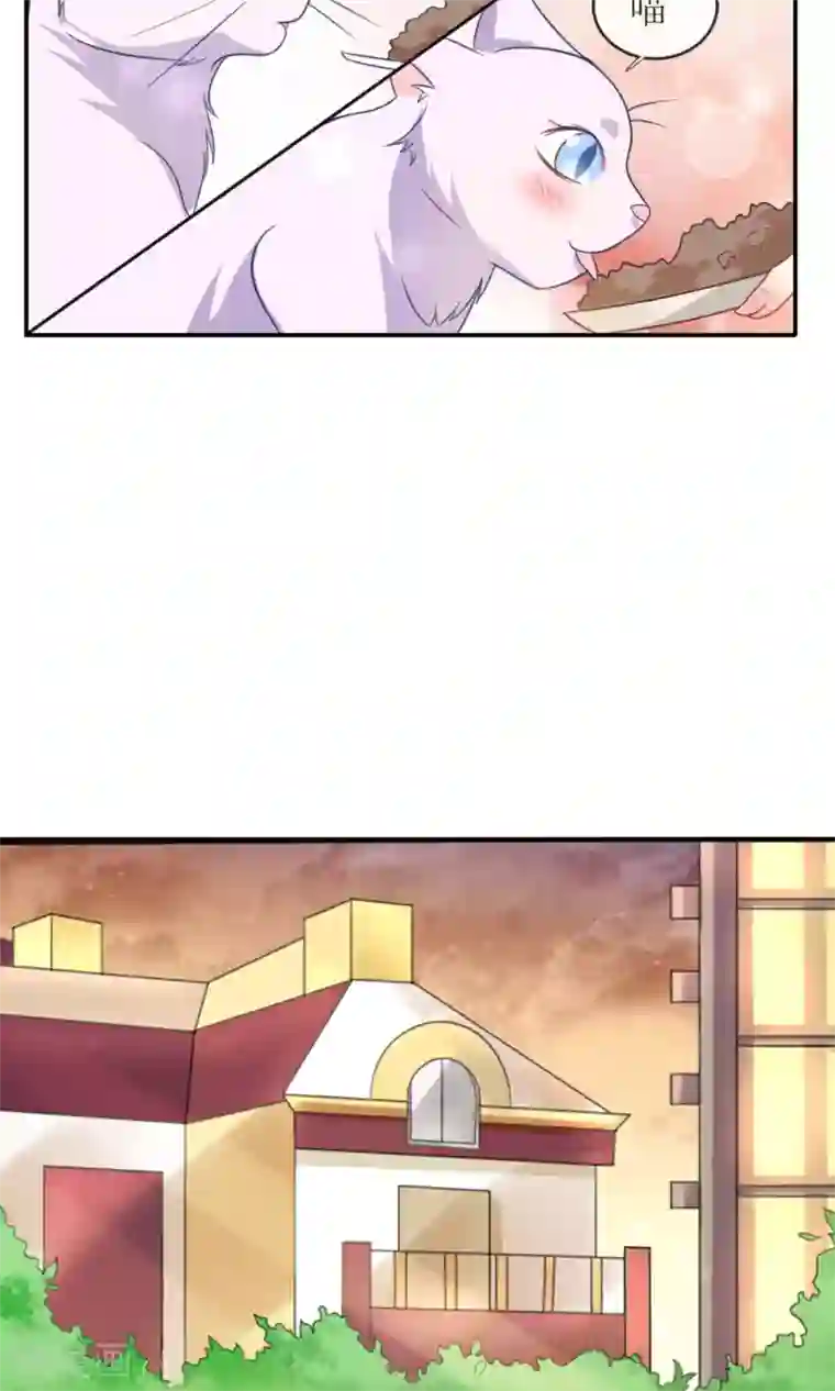 人气同桌是只猫第1话 男神同桌是座冰山