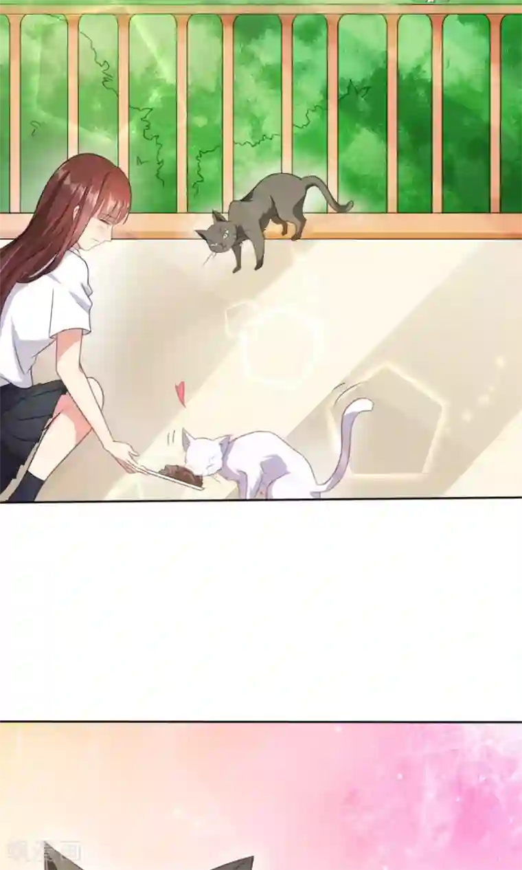 人气同桌是只猫第1话 男神同桌是座冰山