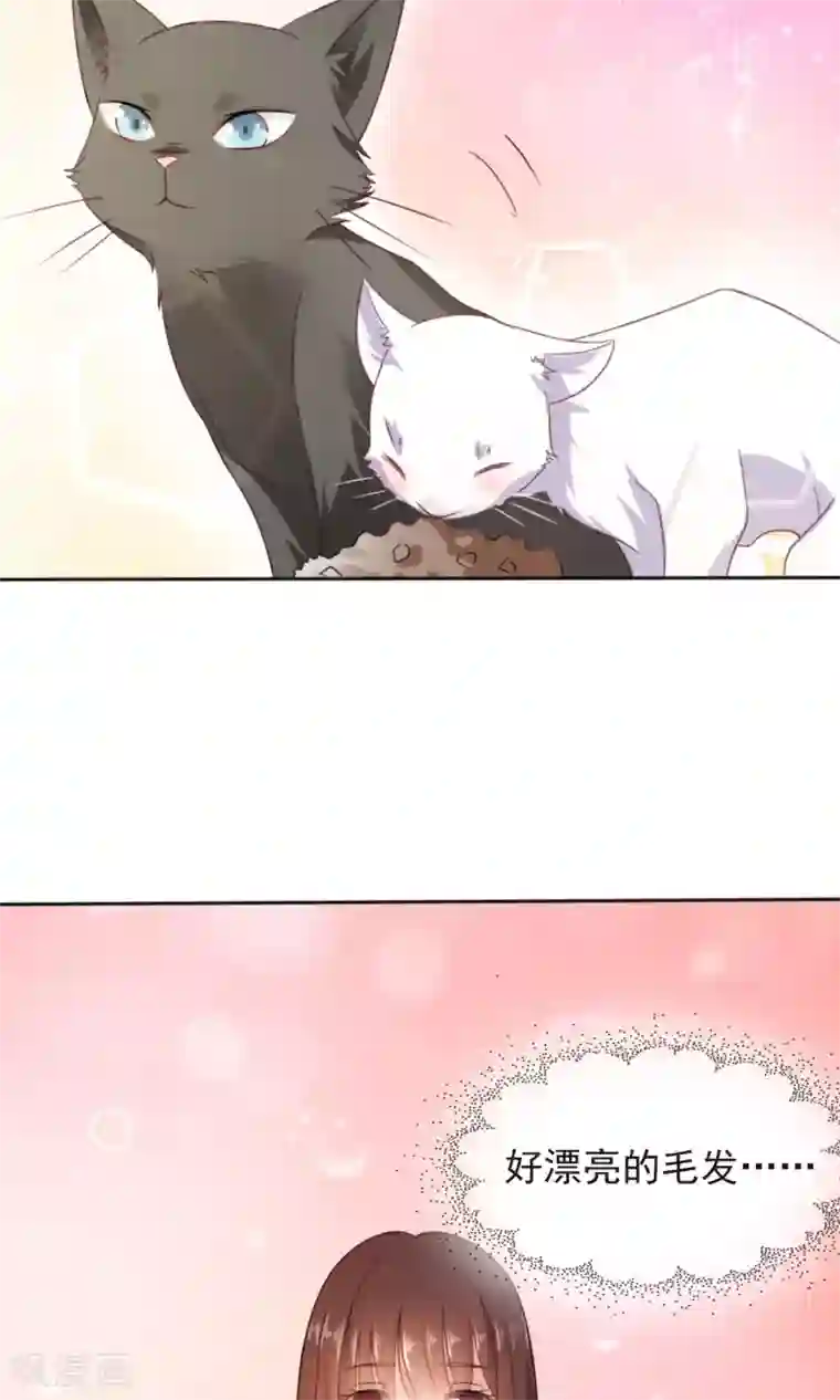 人气同桌是只猫第1话 男神同桌是座冰山