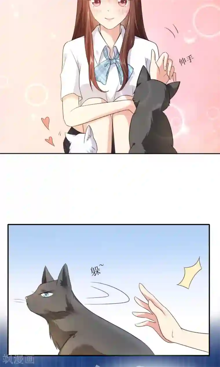 人气同桌是只猫第1话 男神同桌是座冰山