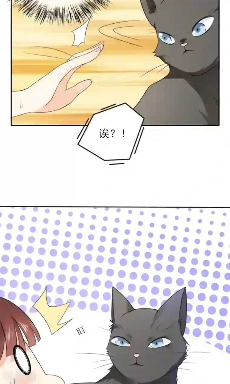 人气同桌是只猫第1话 男神同桌是座冰山