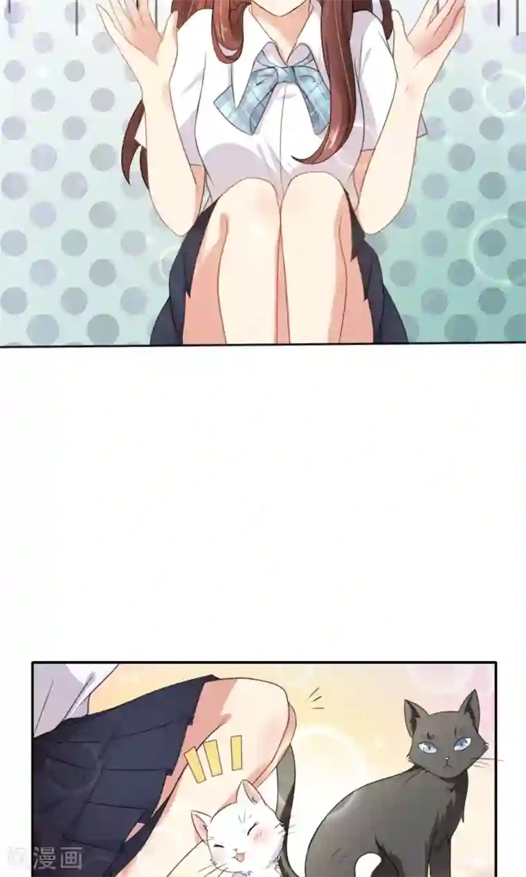 人气同桌是只猫第1话 男神同桌是座冰山