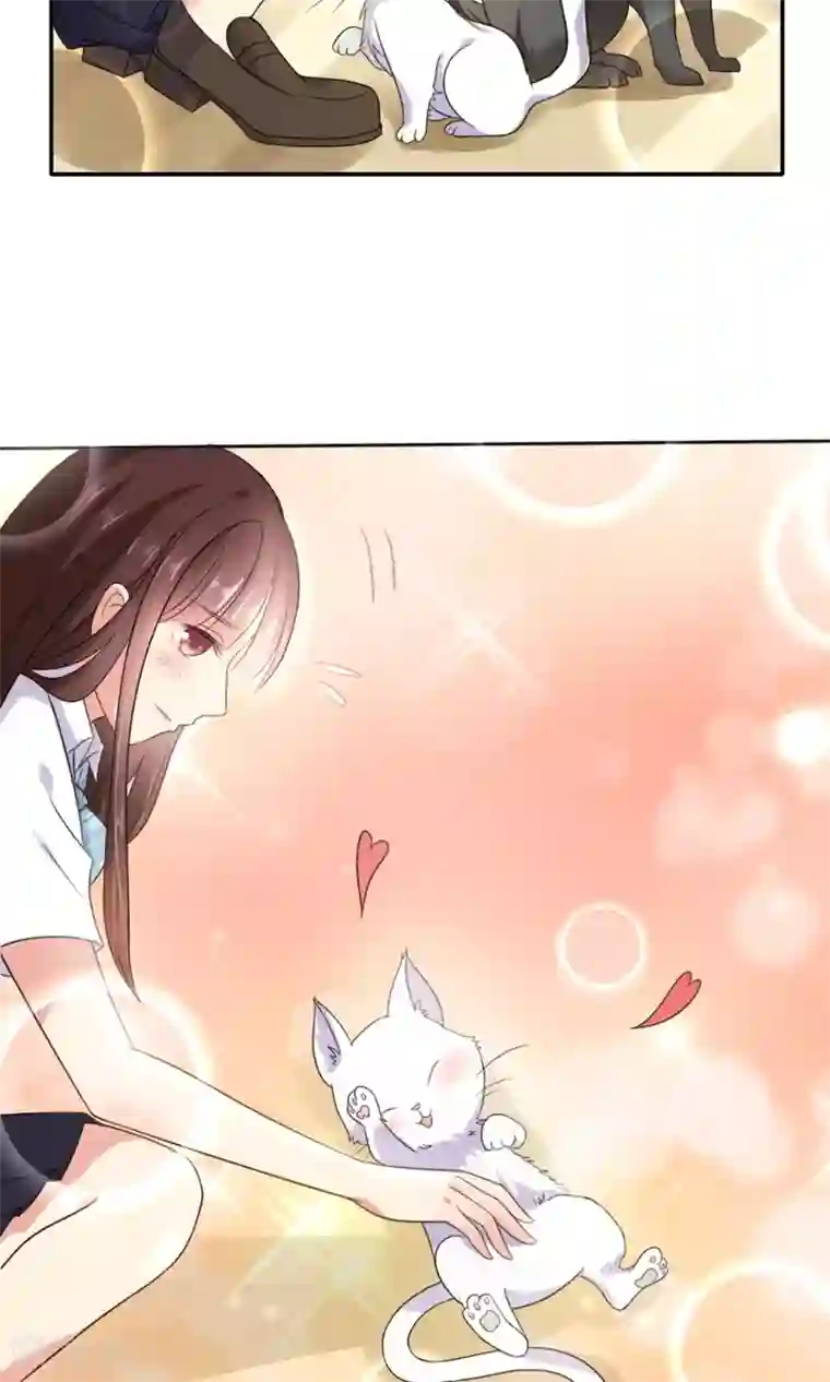 人气同桌是只猫第1话 男神同桌是座冰山