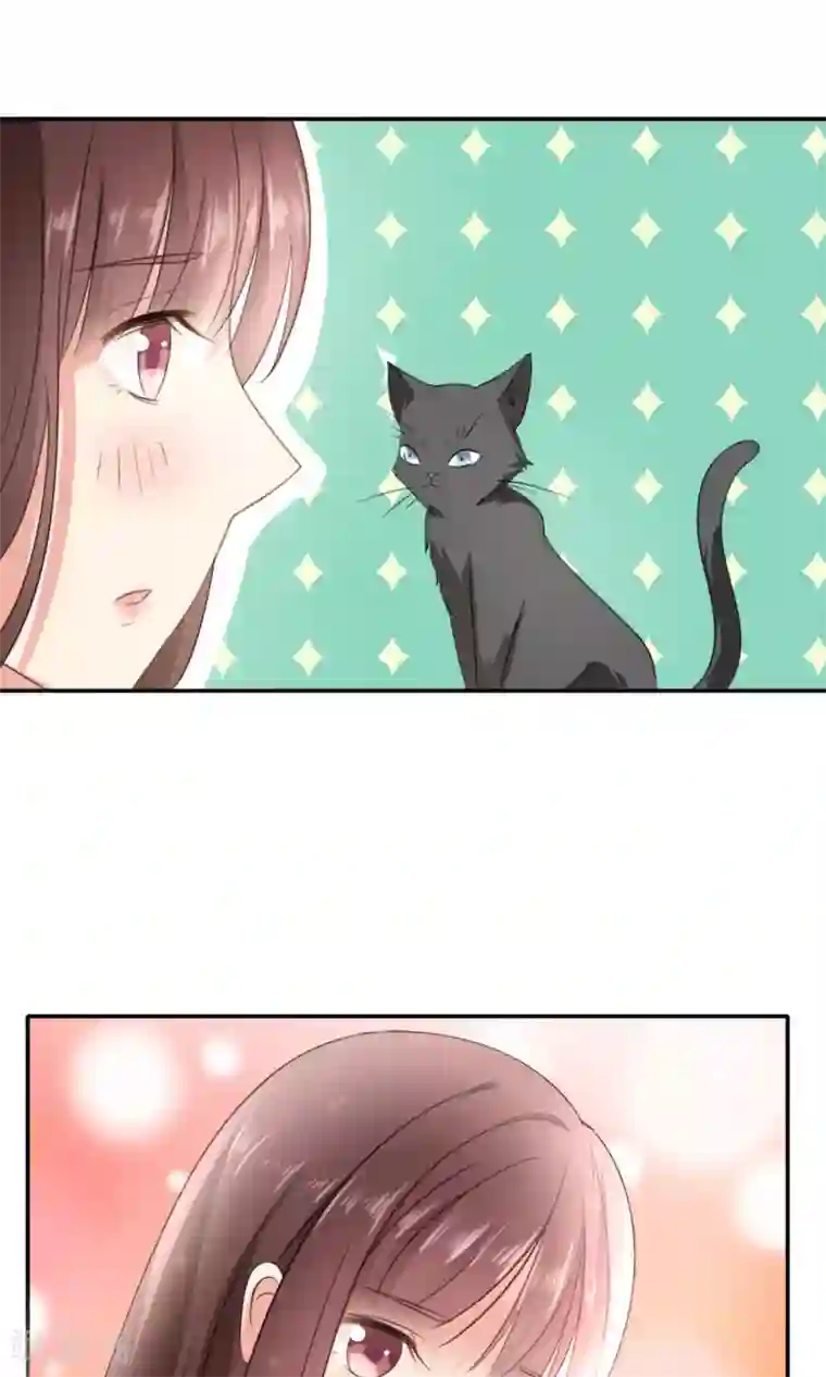 人气同桌是只猫第1话 男神同桌是座冰山