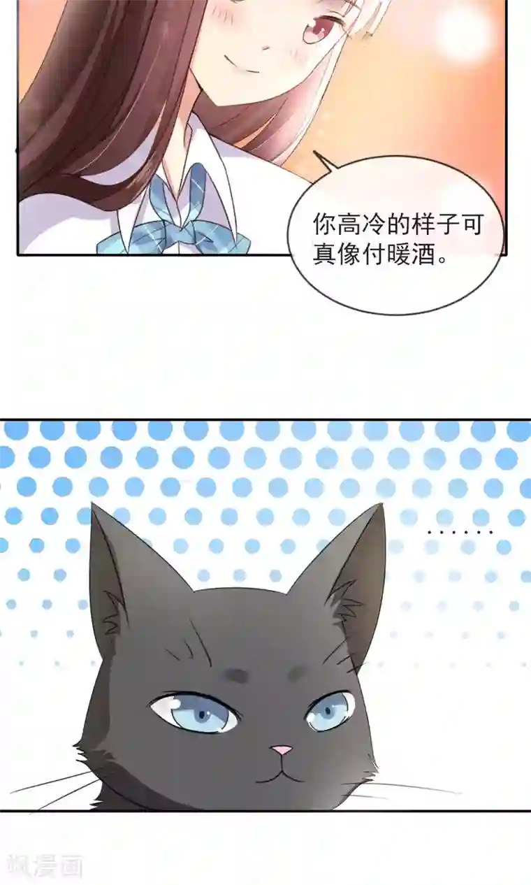 人气同桌是只猫第1话 男神同桌是座冰山