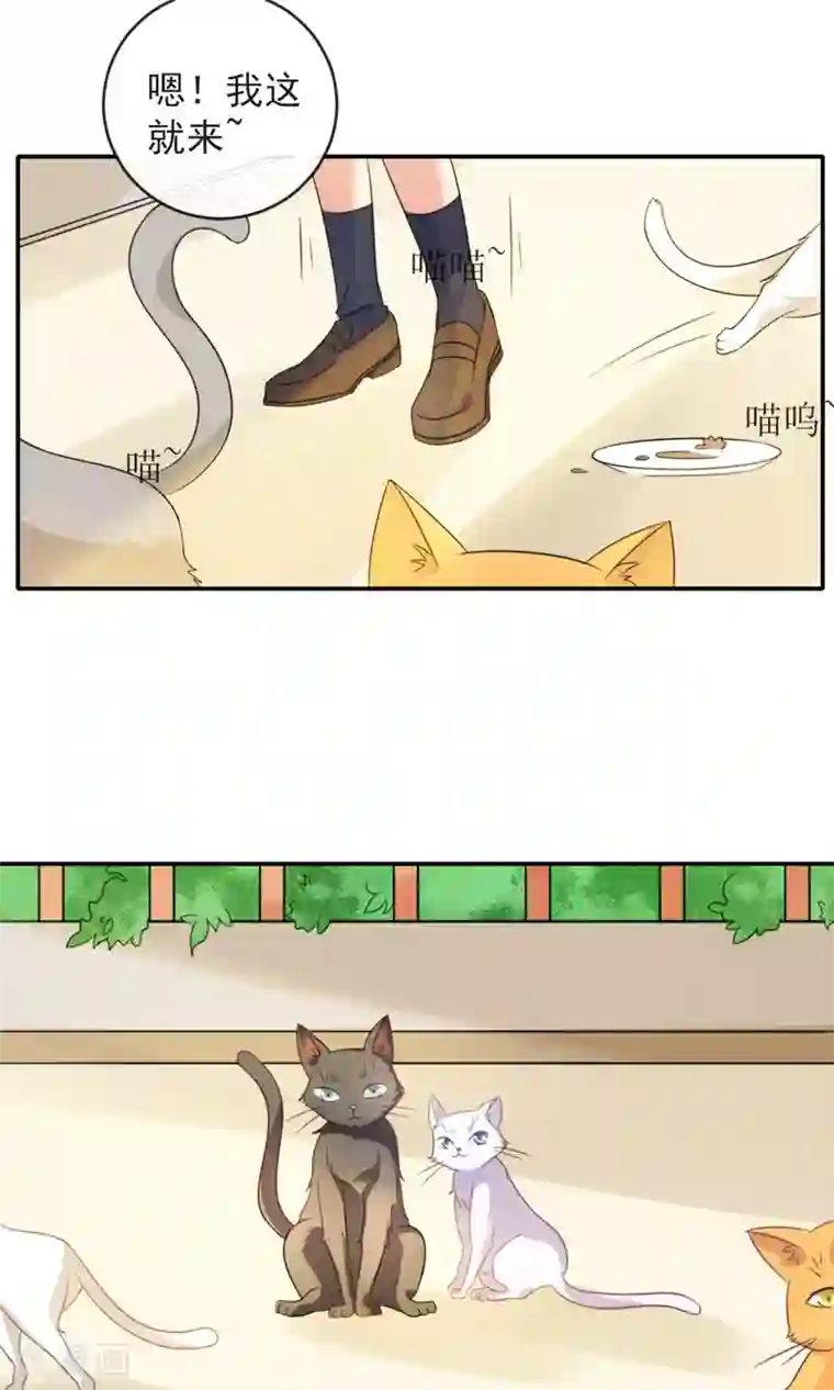 人气同桌是只猫第1话 男神同桌是座冰山