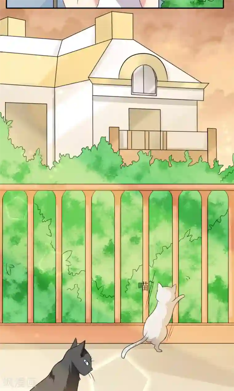 人气同桌是只猫第1话 男神同桌是座冰山