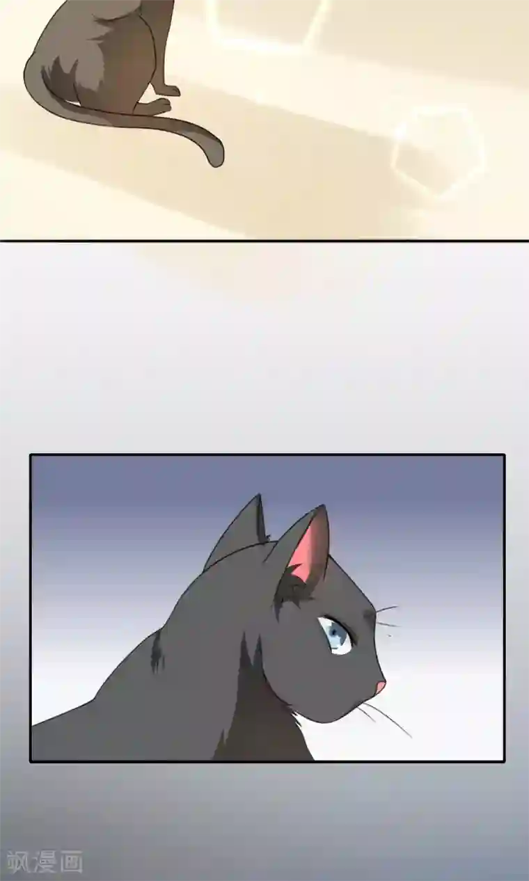 人气同桌是只猫第1话 男神同桌是座冰山