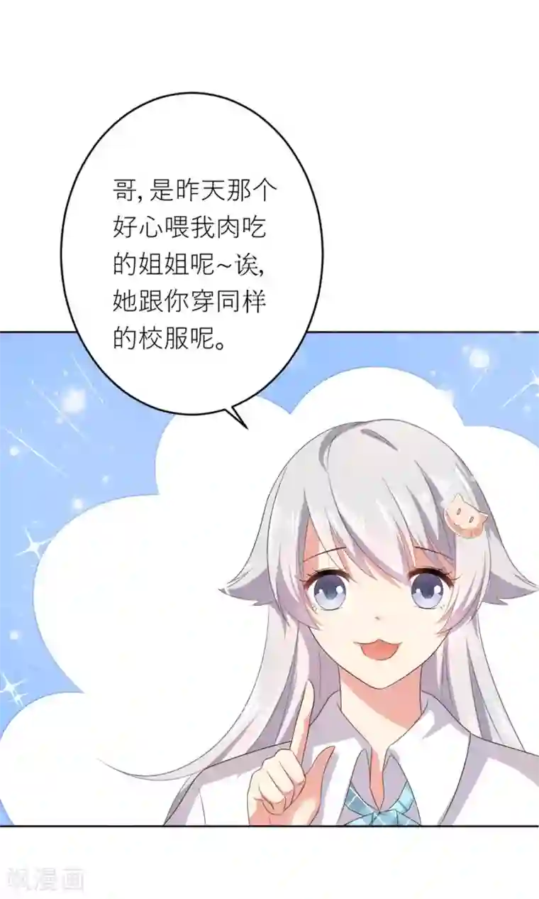 人气同桌是只猫第2话 无处不在的绿茶X