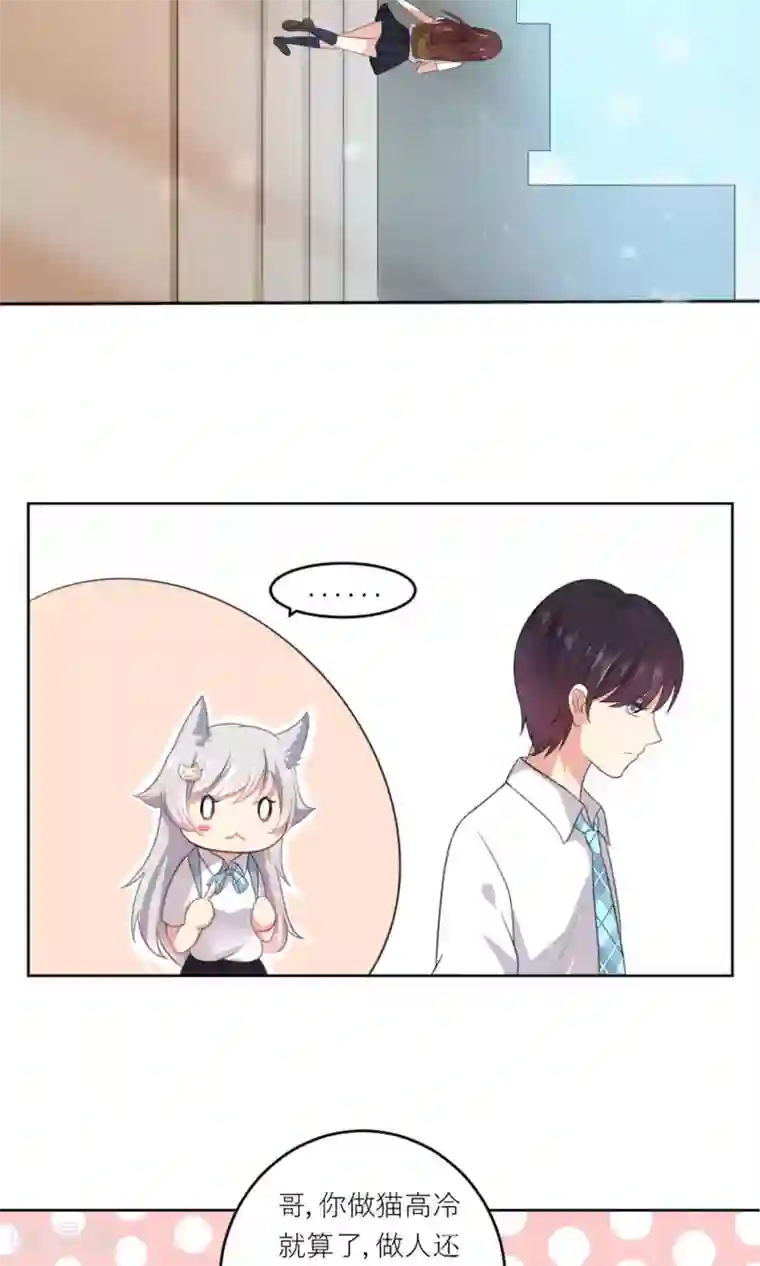 人气同桌是只猫第2话 无处不在的绿茶X