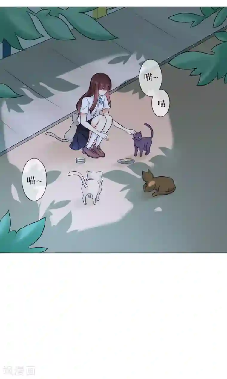 人气同桌是只猫第3话 人间极乐是喵咪