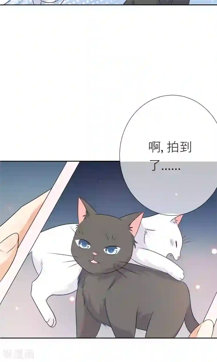 人气同桌是只猫第3话 人间极乐是喵咪
