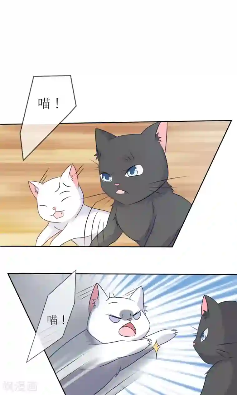 人气同桌是只猫第3话 人间极乐是喵咪