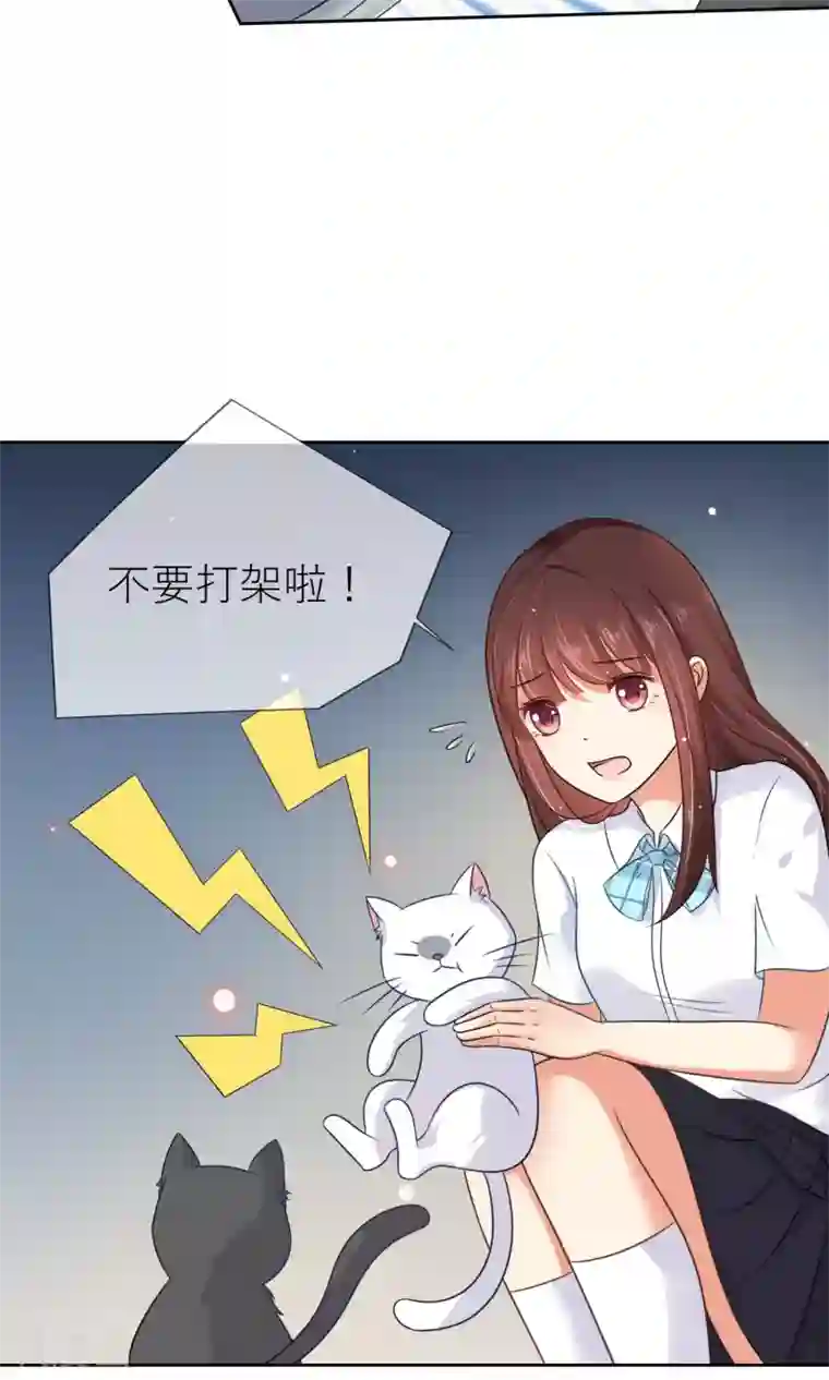 人气同桌是只猫第3话 人间极乐是喵咪