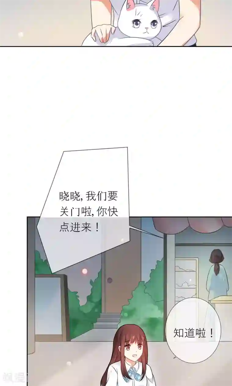 人气同桌是只猫第3话 人间极乐是喵咪