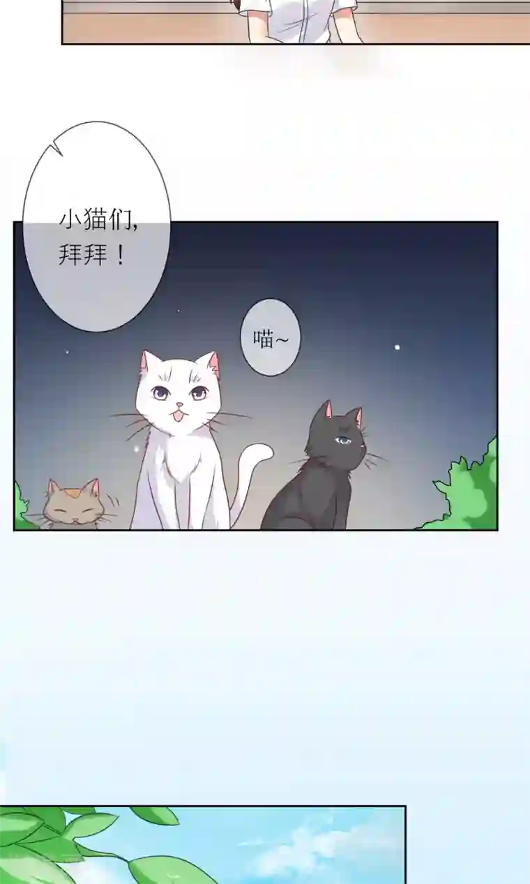 人气同桌是只猫第3话 人间极乐是喵咪