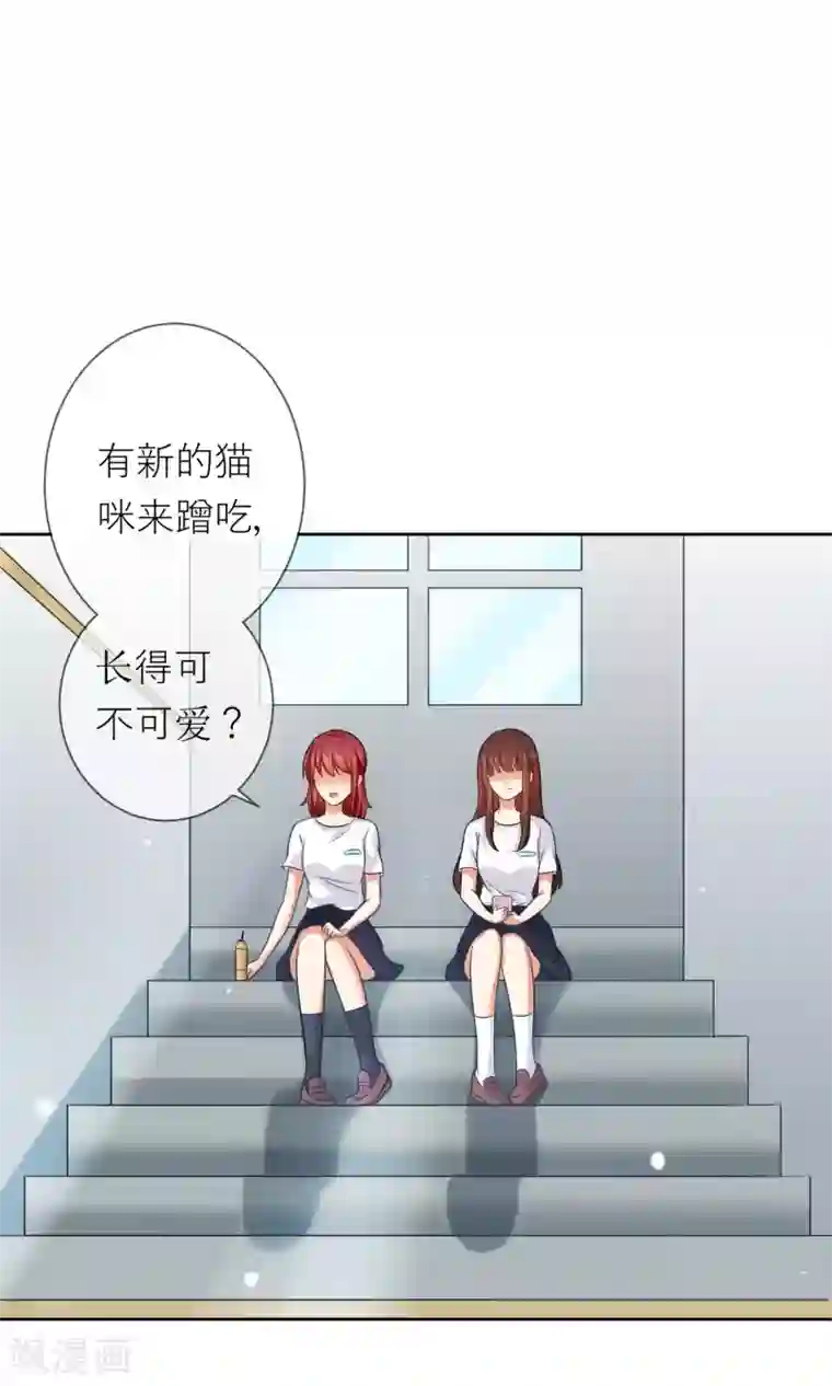 人气同桌是只猫第3话 人间极乐是喵咪