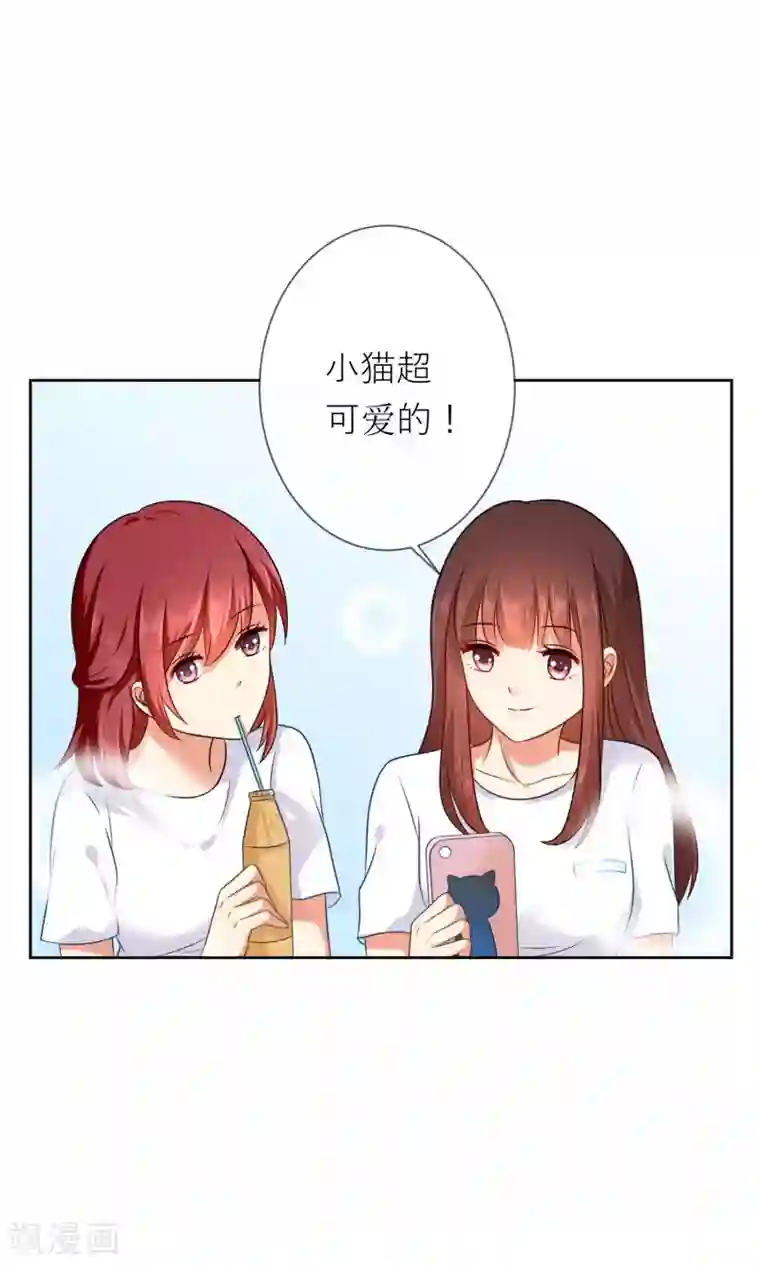 人气同桌是只猫第3话 人间极乐是喵咪