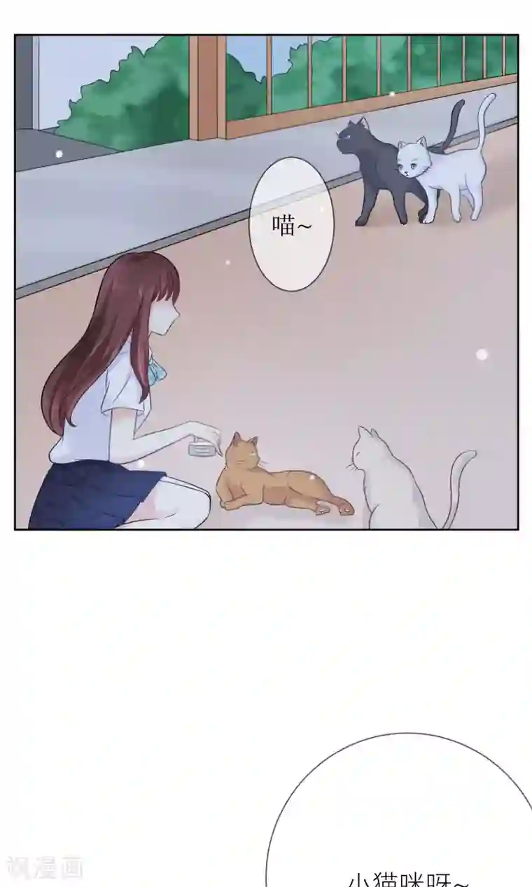 人气同桌是只猫第3话 人间极乐是喵咪