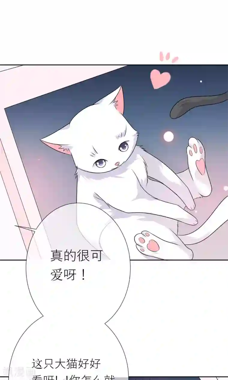 人气同桌是只猫第3话 人间极乐是喵咪