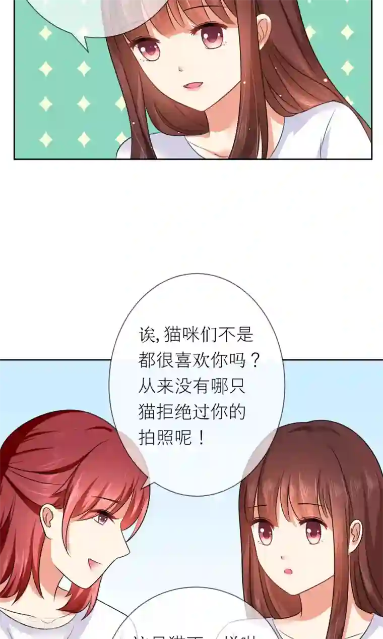 人气同桌是只猫第3话 人间极乐是喵咪