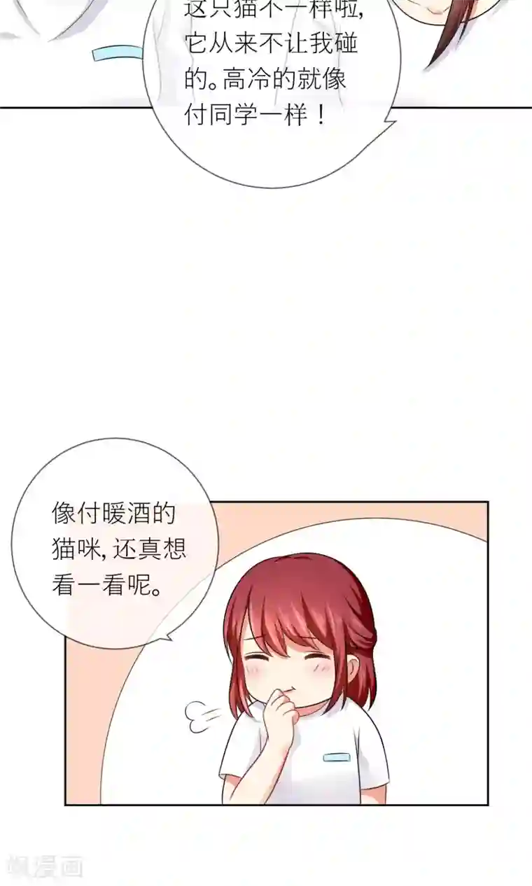 人气同桌是只猫第3话 人间极乐是喵咪