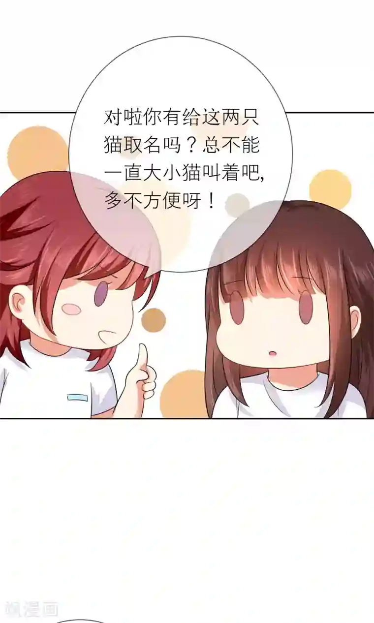 人气同桌是只猫第3话 人间极乐是喵咪