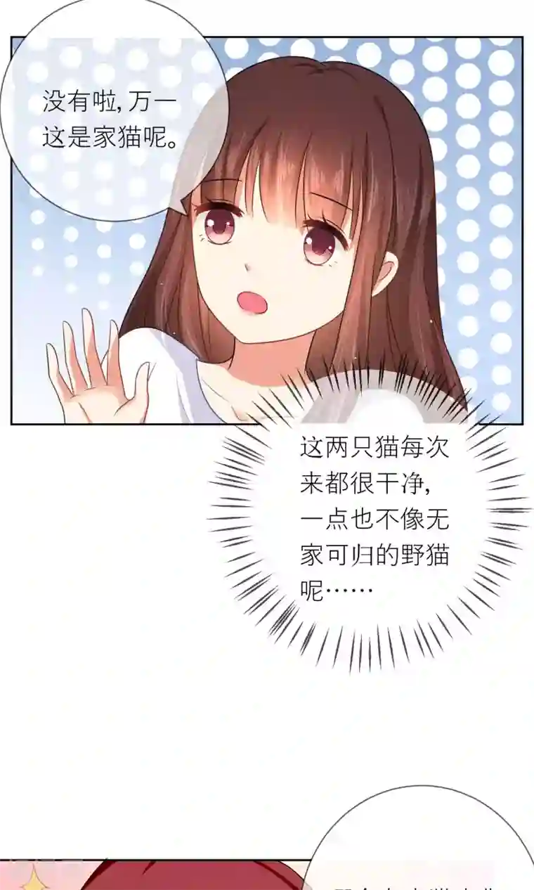 人气同桌是只猫第3话 人间极乐是喵咪