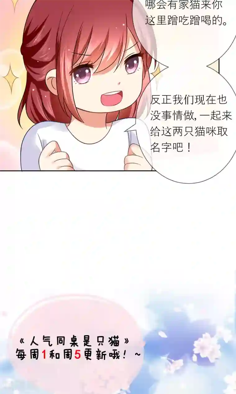 人气同桌是只猫第3话 人间极乐是喵咪