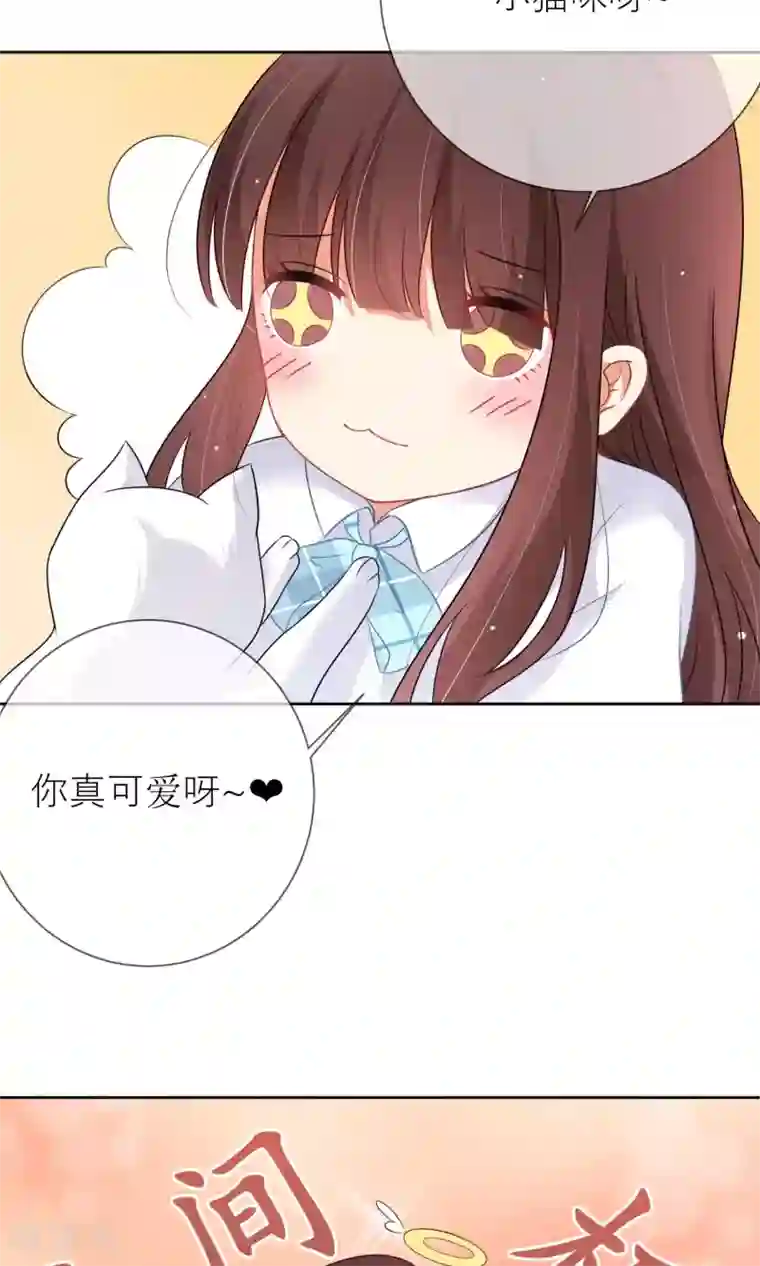 人气同桌是只猫第3话 人间极乐是喵咪