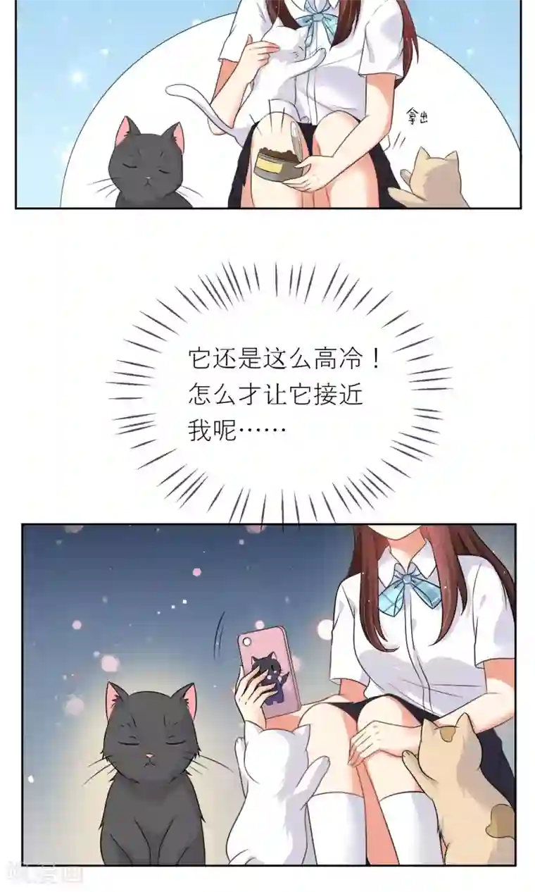 人气同桌是只猫第3话 人间极乐是喵咪