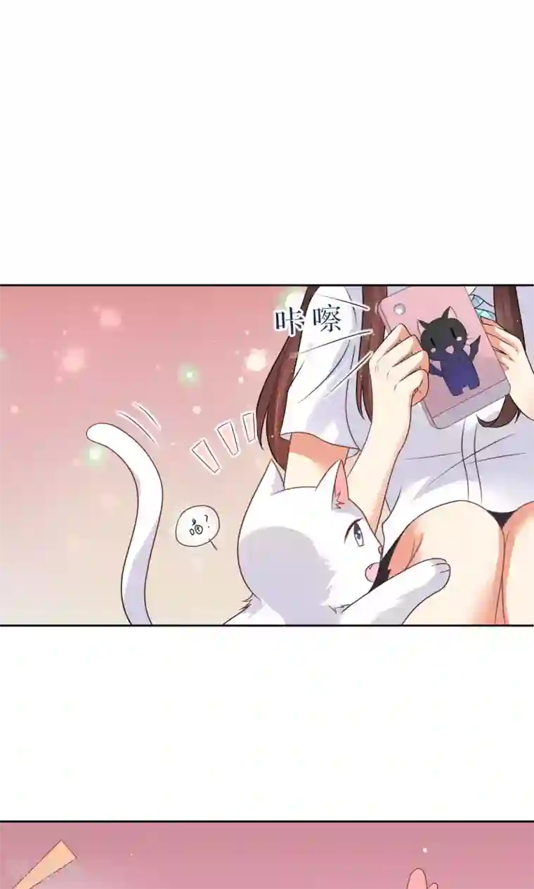 人气同桌是只猫第3话 人间极乐是喵咪