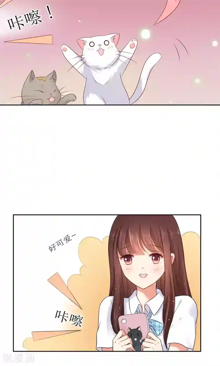 人气同桌是只猫第3话 人间极乐是喵咪