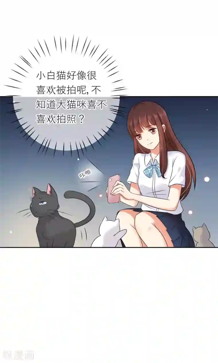 人气同桌是只猫第3话 人间极乐是喵咪