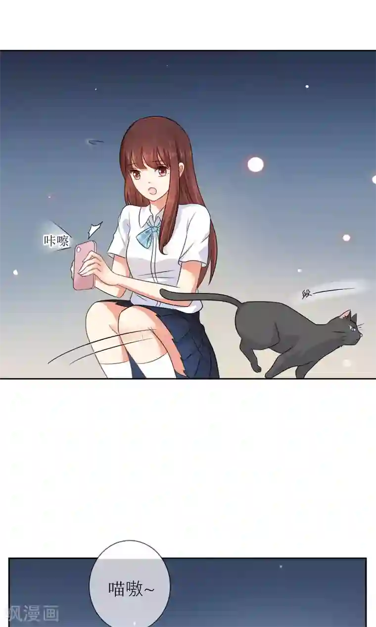 人气同桌是只猫第3话 人间极乐是喵咪