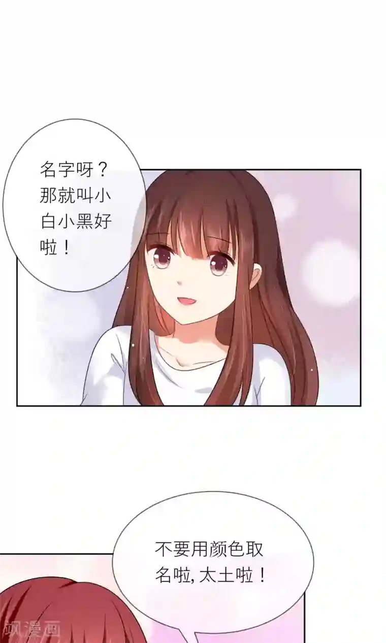 人气同桌是只猫第4话 我的名字叫夏至夏末