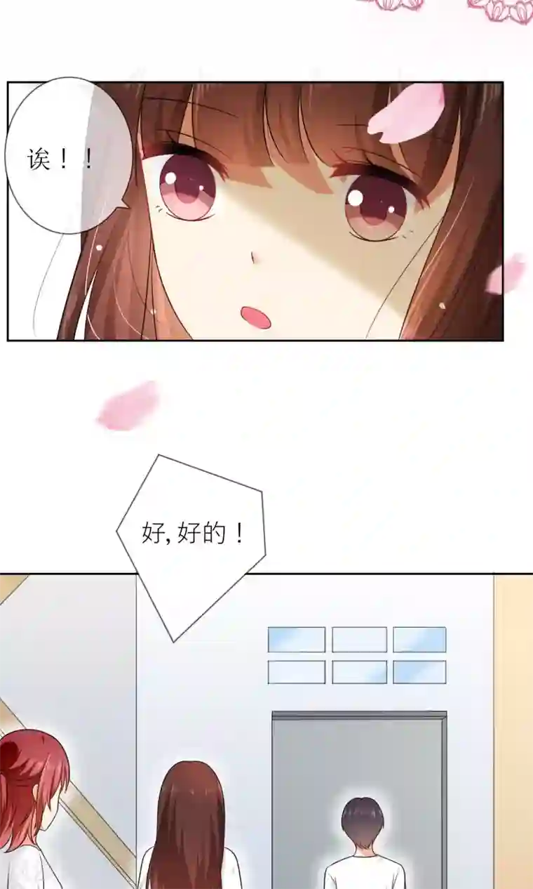 人气同桌是只猫第4话 我的名字叫夏至夏末