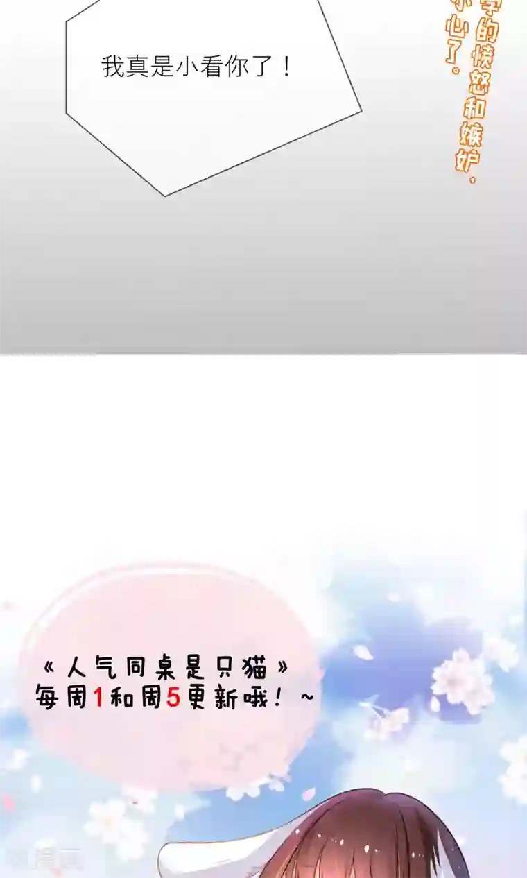 人气同桌是只猫第4话 我的名字叫夏至夏末