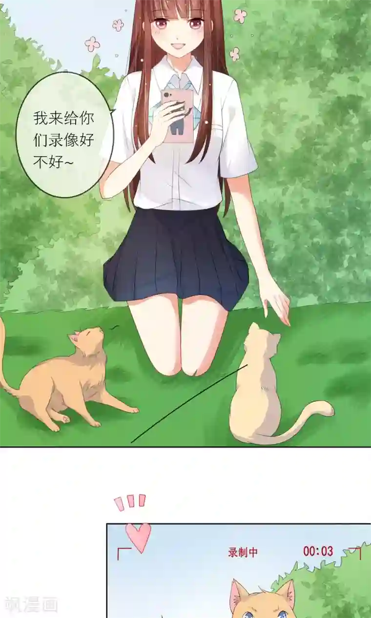 人气同桌是只猫第6话 突如其来的校园暴力