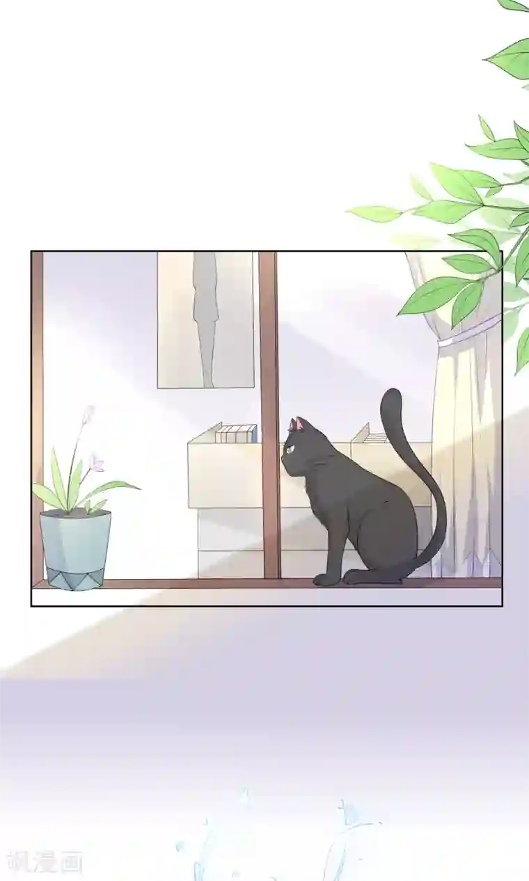 人气同桌是只猫第7话 我要弄死这些猫