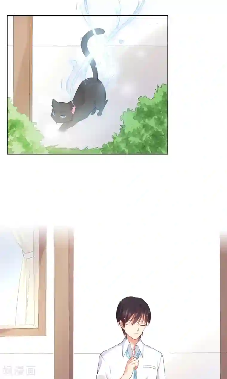 人气同桌是只猫第7话 我要弄死这些猫