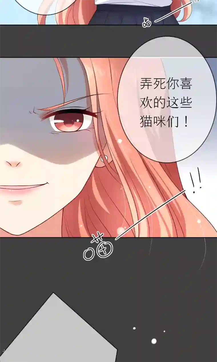 人气同桌是只猫第7话 我要弄死这些猫