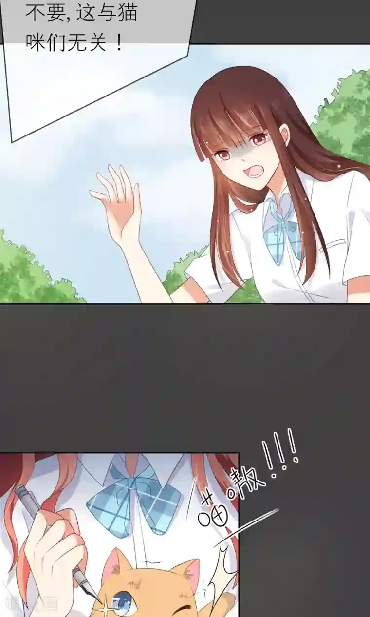 人气同桌是只猫第7话 我要弄死这些猫